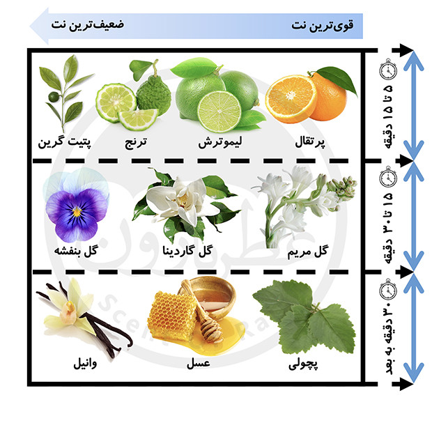 بادی میست بورلی هیلز پولوکلاب بر پایه آب EVOKING GARDENIA بادی اسپلش