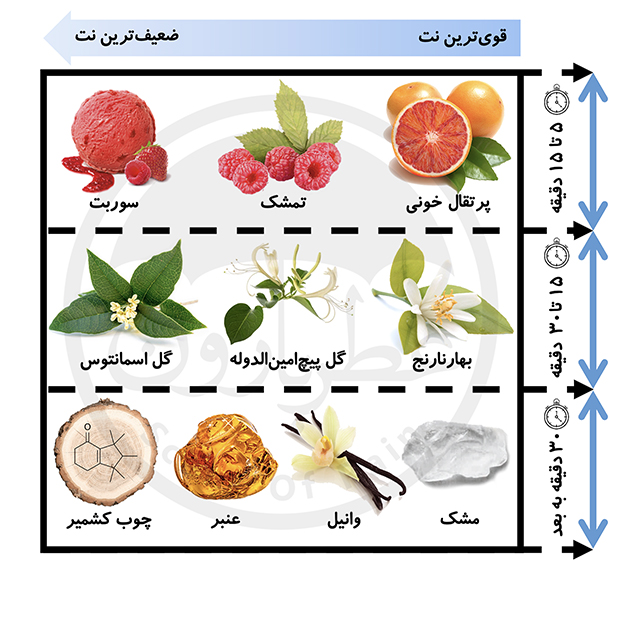 بادی میست بورلی هیلز پولوکلاب بر پایه آب POUR FEMME بادی اسپلش