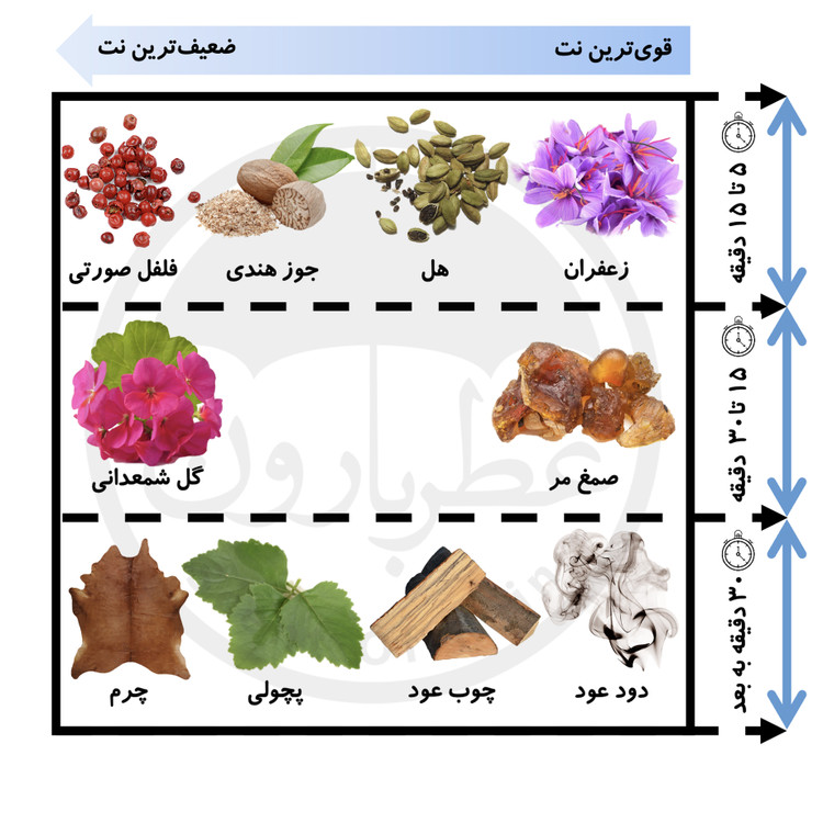 اسپری بدن دئودرانت مردانه شماره ۲ بورلیهیلز پولوکلاب رایحه کهربایی و ادویه ای 200میل اسپرت پسرانه