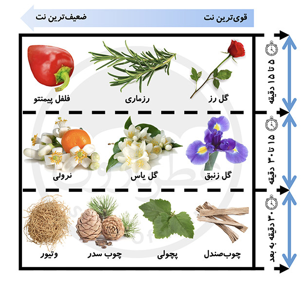 اسپری بدن دئودرانت مردانه شماره 1 بورلیهیلز پولوکلاب رایحه گلی و چوبی 200میل اسپرت