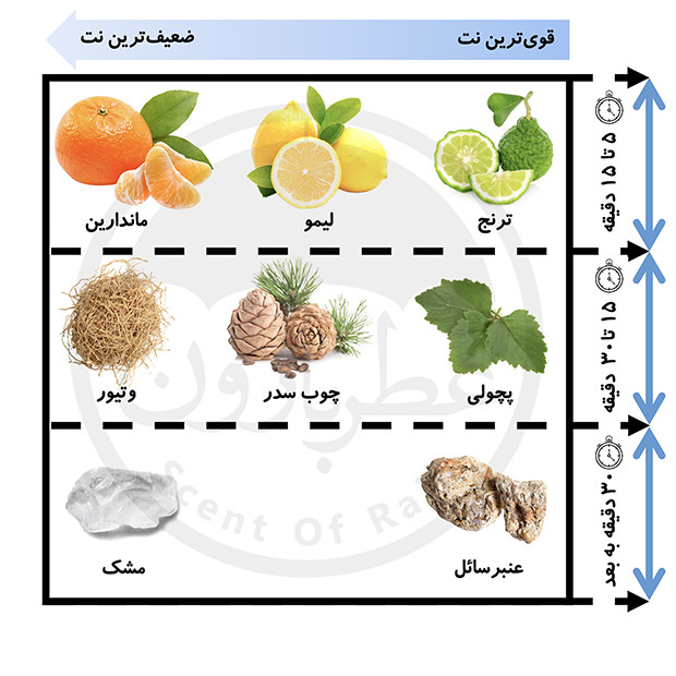 اسپری بدن دئودرانت مردانه شماره ۹ بورلیهیلز پولوکلاب رایحه اروماتیک و چوبی200میل اسپرت