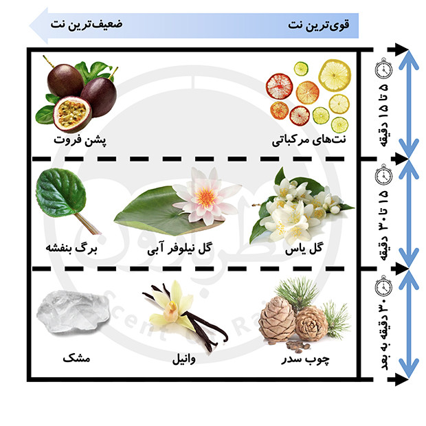 پک هدیه اسپری و بادی میست زنانه بورلی هیلز پولو کلاب شماره 2 مدل جذاب دخترانه